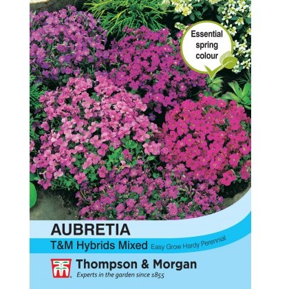 Aubrieta T&M Hybrids Mixed