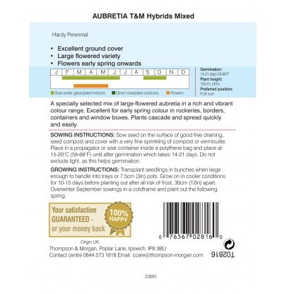 Aubrieta T&M Hybrids Mixed