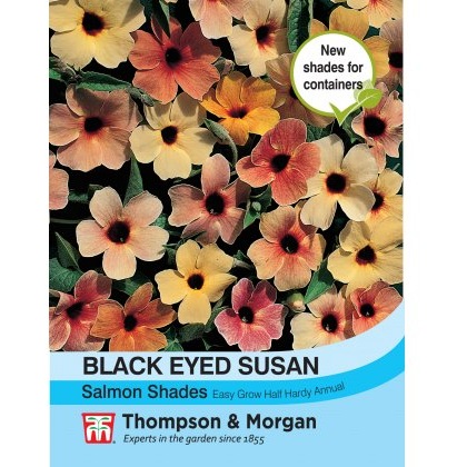 Black Eyed Susan Salmon Shades