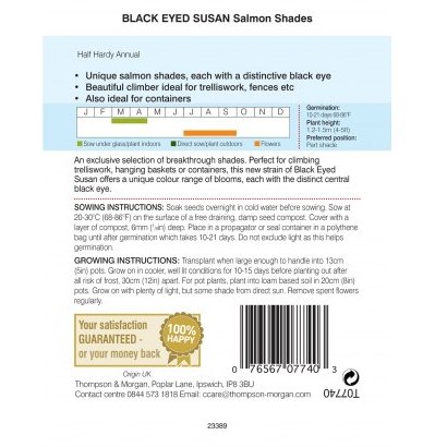 Black Eyed Susan Salmon Shades