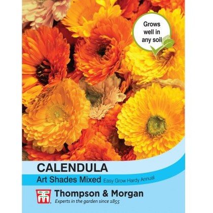 Calendula Art Shades Mixed