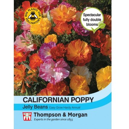 Californian Poppy Jelly Beans
