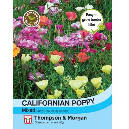 Californian Poppy Mixed