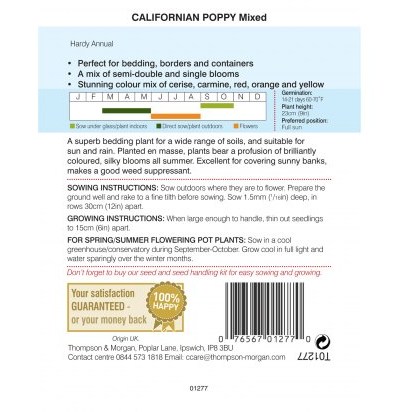 Californian Poppy Mixed