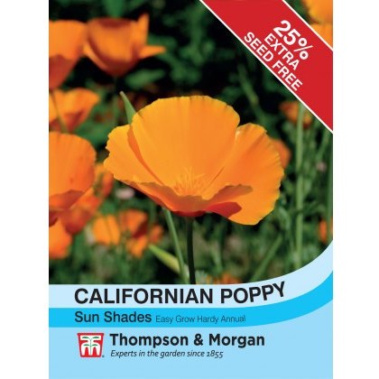 Californian Poppy Sun Shades