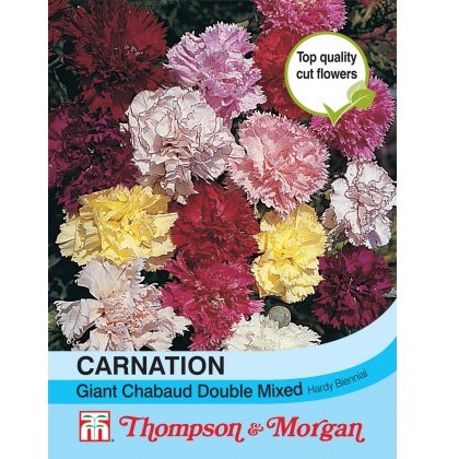 Carnation Giant Chabaud Double Mixed