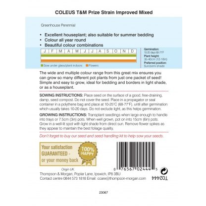 Coleus T&M Prize Strain Improved