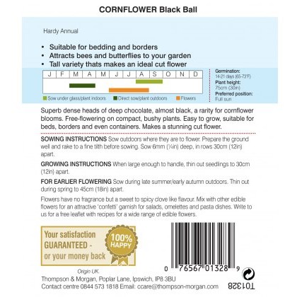 Cornflower Black Ball