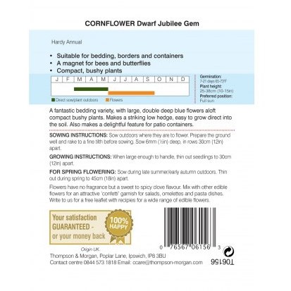 Cornflower Dwarf Jubilee Gem