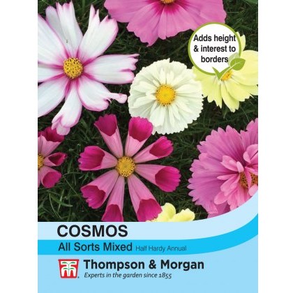 Cosmos All Sorts Mixed