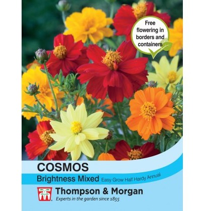 Cosmos Brightness Mixed
