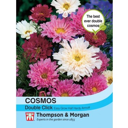 Cosmos Double Click