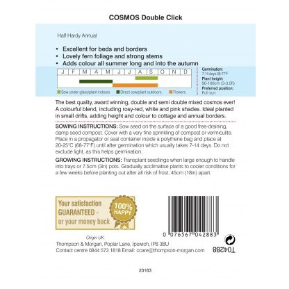 Cosmos Double Click