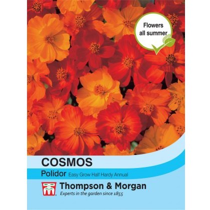 Cosmos Polidor