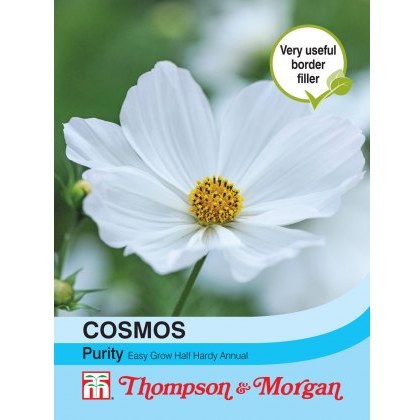 Cosmos Purity