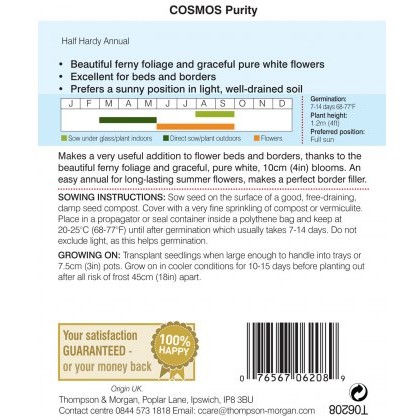 Cosmos Purity