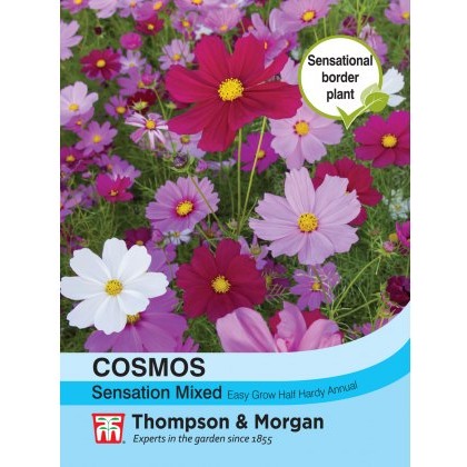 Cosmos Sensation Mixed