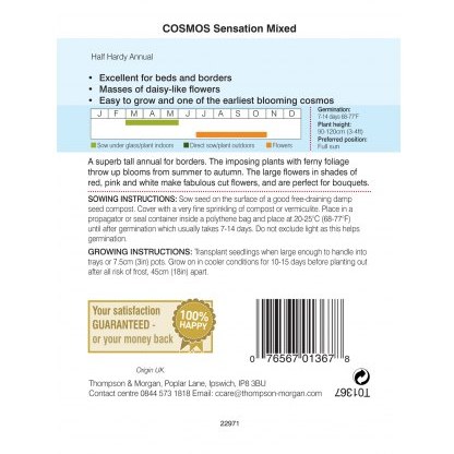 Cosmos Sensation Mixed