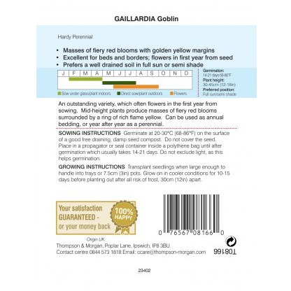 Gaillardia Goblin