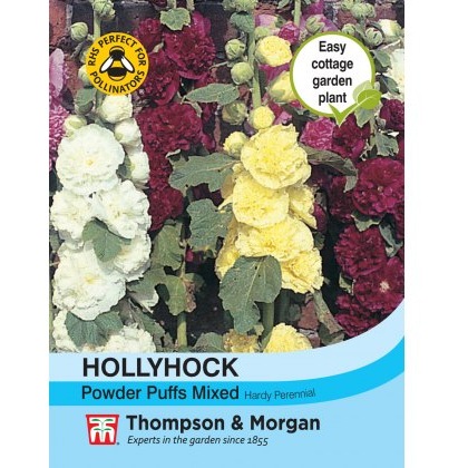 Hollyhock Powder Puffs Mixed