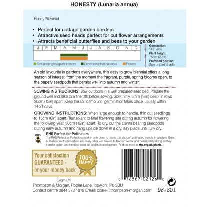 Honesty (Lunaria or Silver Dollar)