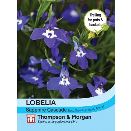 Lobelia (Trailing) Sapphire Cascade