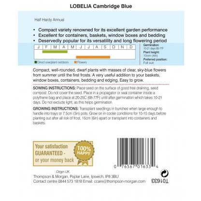 Lobelia Cambridge Blue
