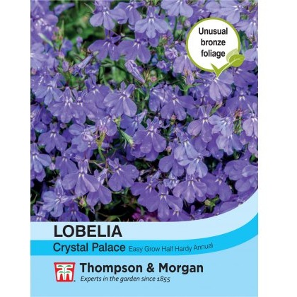 Lobelia Crystal Palace