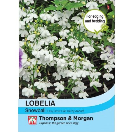 Lobelia Snowball