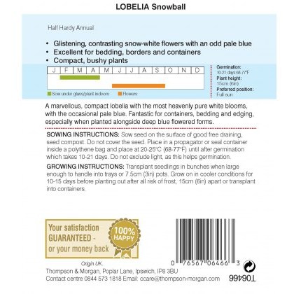 Lobelia Snowball