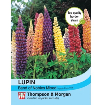 Lupin Band of Nobles Mixed