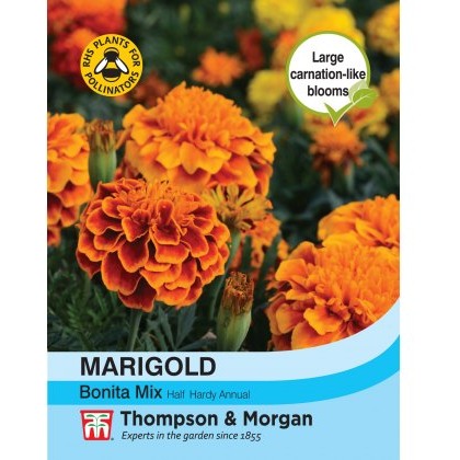 Marigold Bonita Mixed (French)