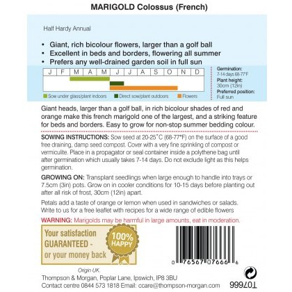 Marigold Colossus