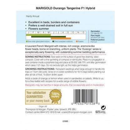 Marigold Durango Tangerine F1 Hybrid