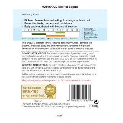 Marigold Scarlet Sophie (French)