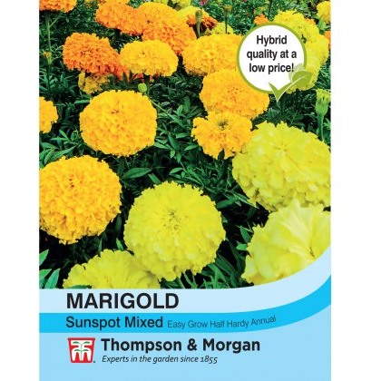 Marigold Sunspot Mixed
