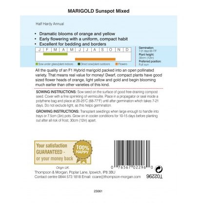 Marigold Sunspot Mixed