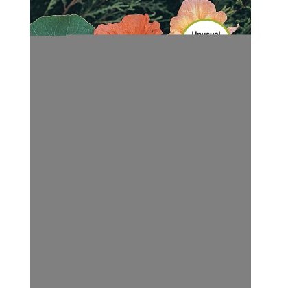 Nasturtium Alaska Mixed