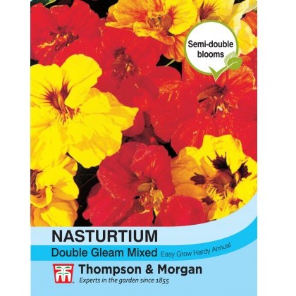 Nasturtium Double Gleam Mixed