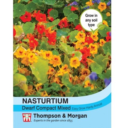 Nasturtium Dwarf Compact Mixed