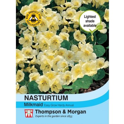 Nasturtium Milkmaid