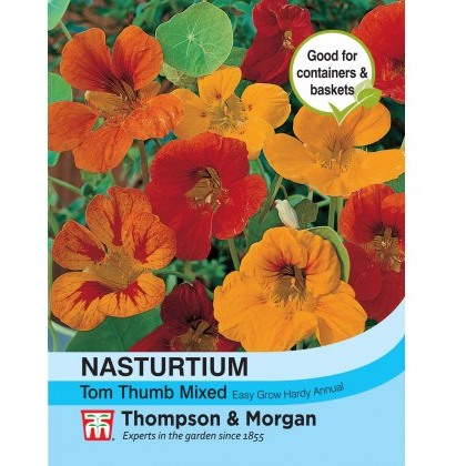 Nasturtium Tom Thumb Mixed