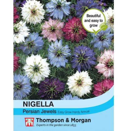 Nigella Persian Jewels Mixed