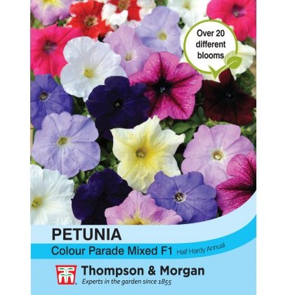 Petunia Colour Parade Mixed F1 Hybrid