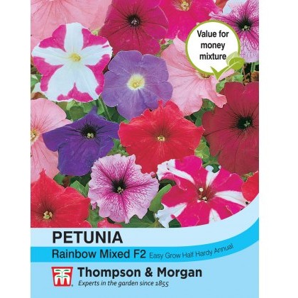 Petunia Rainbow Mixed F2 Hybrid