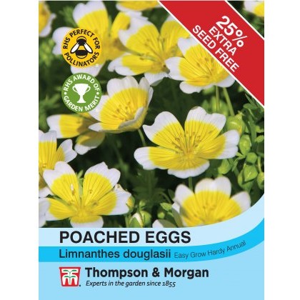 Poached Eggs