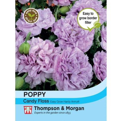 Poppy Candy Floss