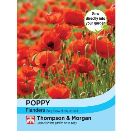 Poppy Flanders