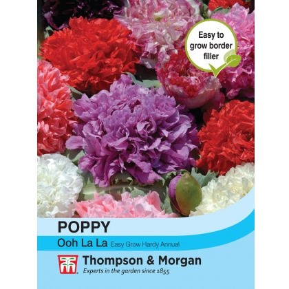 Poppy Ooh la la