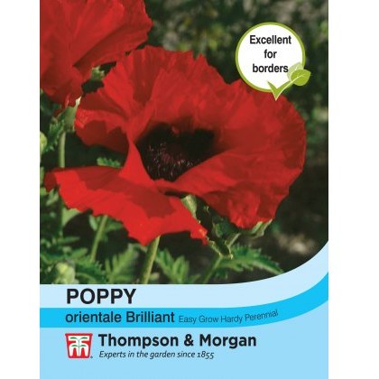 Poppy Brilliant